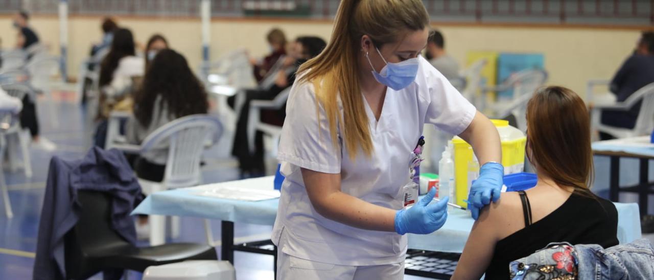 Vacunación profesores de Elche en el pabellón Esperanza Lag