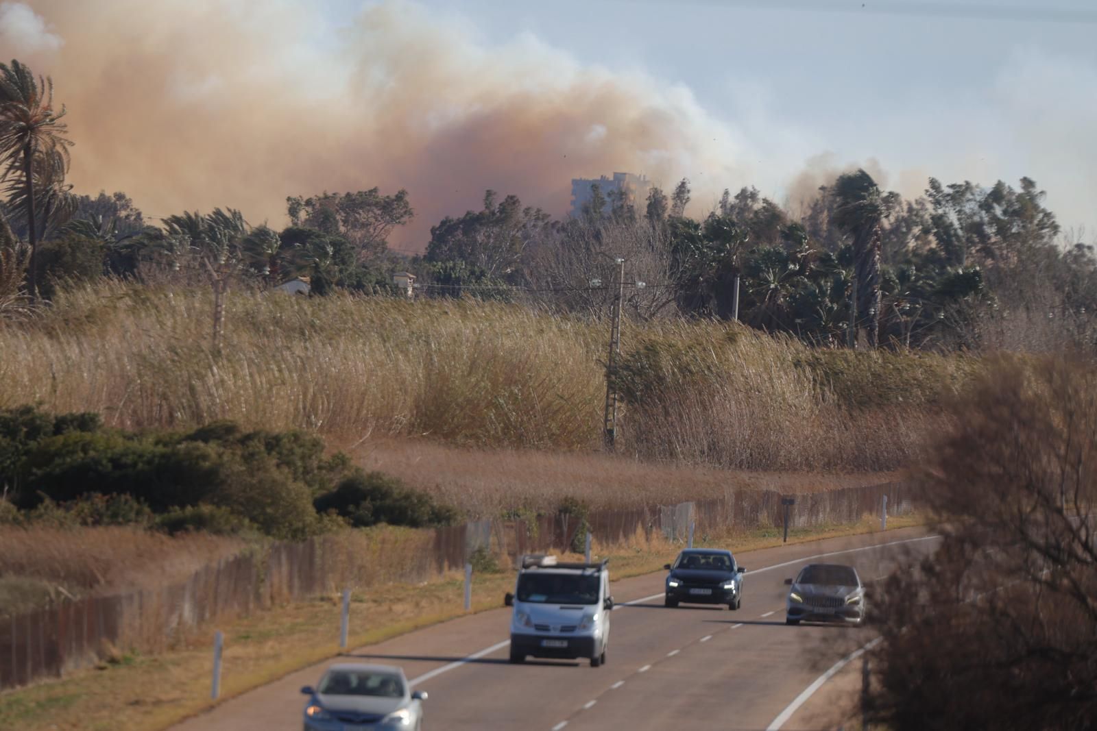 Declarado un incendio en el Saler