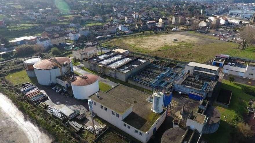 Planta de Placeres, junto a los terrenos del antiguo campo de fútbol. // FdV