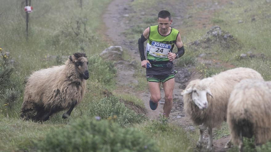 La carrera de montaña Entre Cortijos de Santa María de Guía abrirá inscripciones el próximo 31 de enero