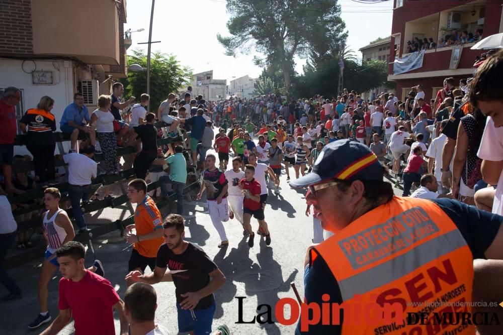 Primer encierro de Calasparra