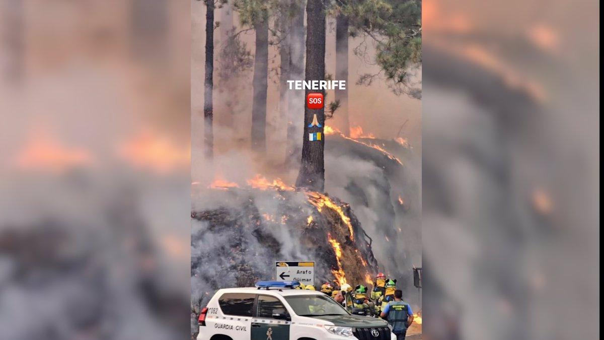 Anabel Pantoja, afectada por el incendio que asola Tenerife