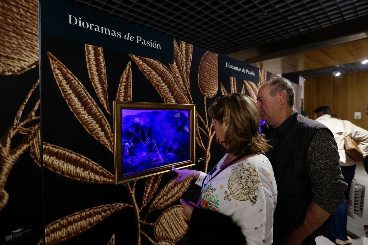 Córdoba. Fundación Cajasol, tendrá lugar la inauguración de las exposiciones «Memorial Juan Luis Seco. XLIV concurso de fotografía de la Semana Santa de Córdoba» y «Dioramas de Pasión» El acto contará con la presencia de D. Juan Manuel Carrasco, delegado de la Fundación Cajasol, D. Manuel Murillo, presidente de la Agrupación de Hermandades y Cofradías y D. Javier Barcones, presidente de la Asociación de Belenistas.