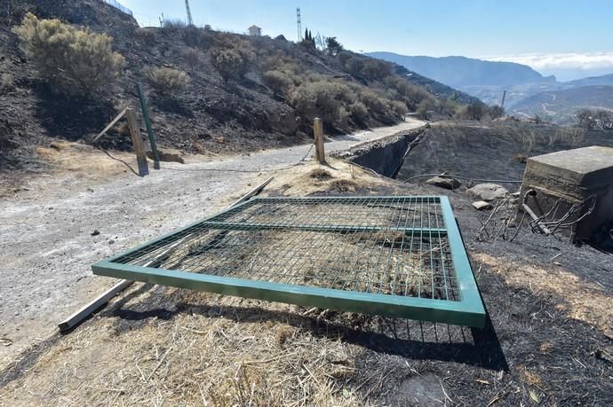 11-08-2019 Artenara. Segundo día del incendio en la cumbre  | 11/08/2019 | Fotógrafo: Andrés Cruz