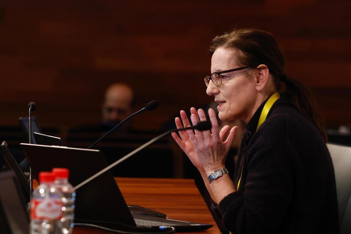 La directora de Cultura Científica y de la Innovación de la Fundación Española para la Ciencia y la Tecnología (FECYT), Rosa Capeáns