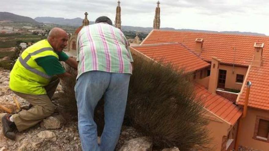 Patrimonio acomete la conservación de los restos de la necrópolis islámica de l&#039;Alfgossar