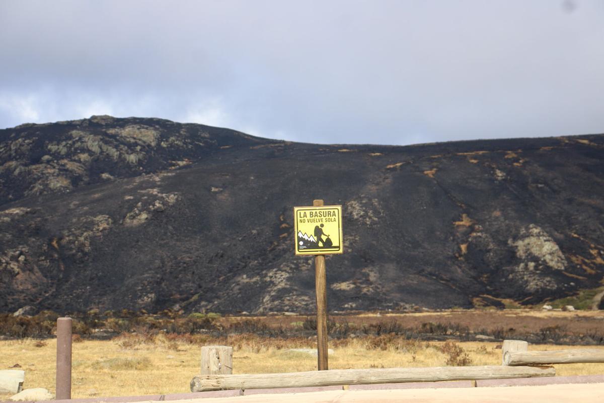 Estado que presenta la Laguna de Peces tras el incendio de Porto del pasado mes de agosto