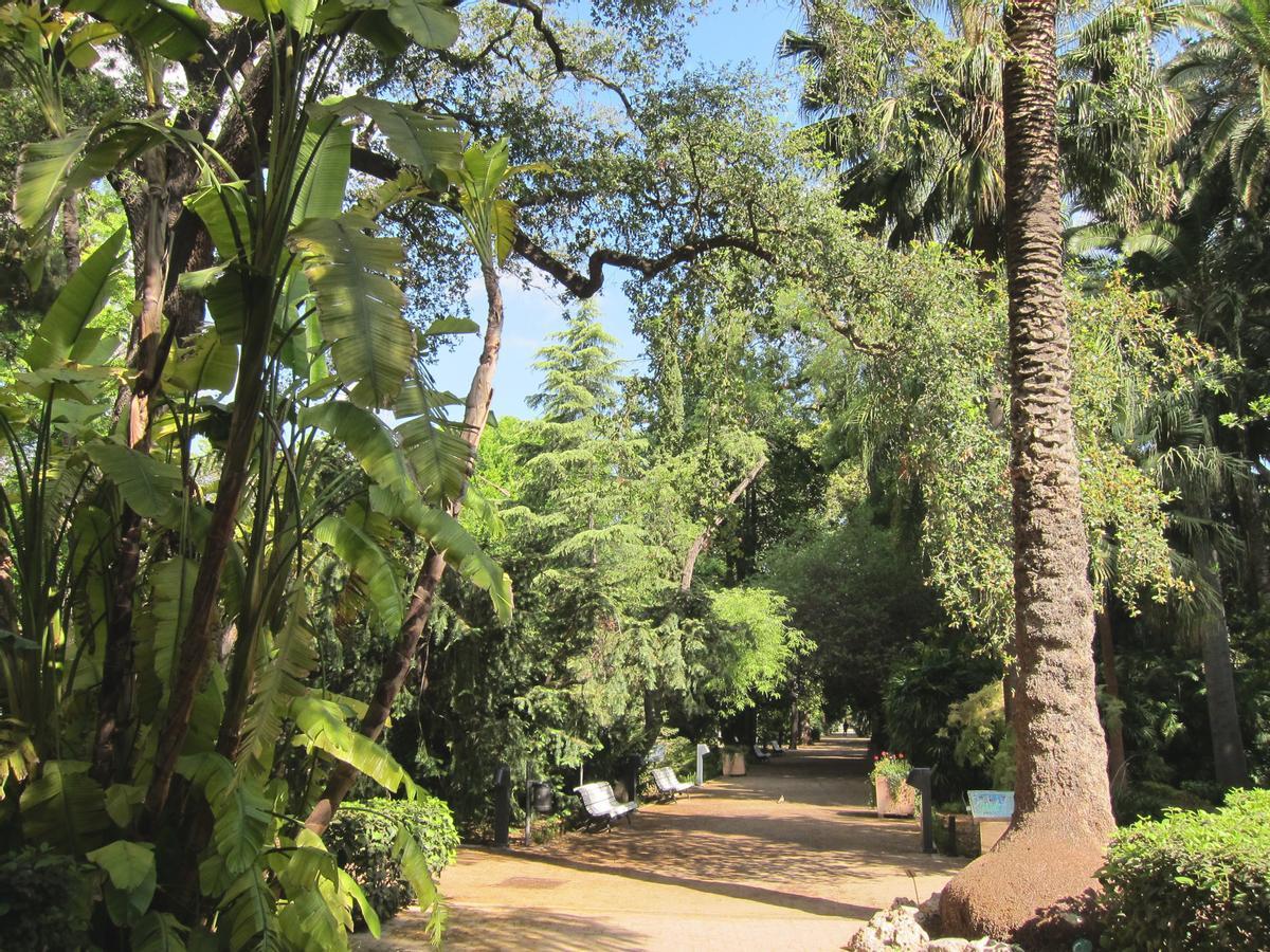 Paseo del Jardín Botánico de València