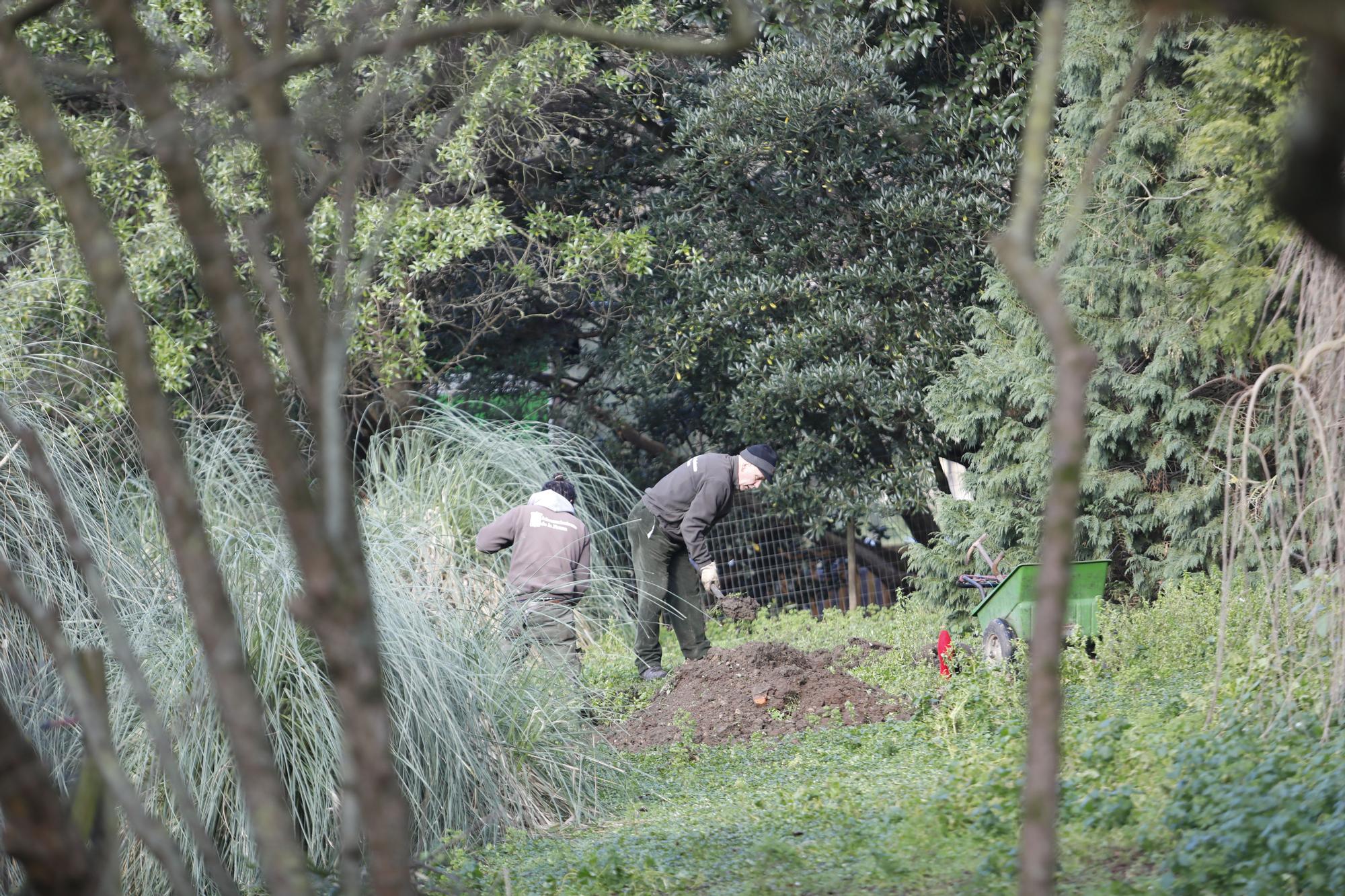 En imágenes: Comienza el dragado de los estanques del parque de Isabel la Católica