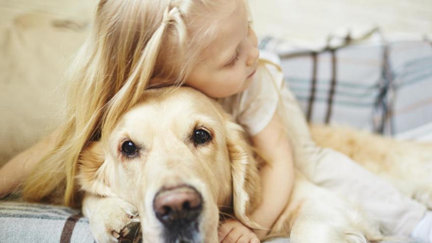 Mascotas, las mejores amigas de los niños