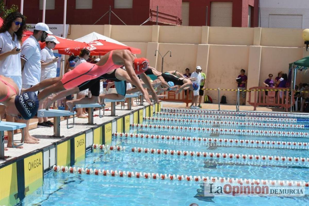Final del Campeonato regional de natación.