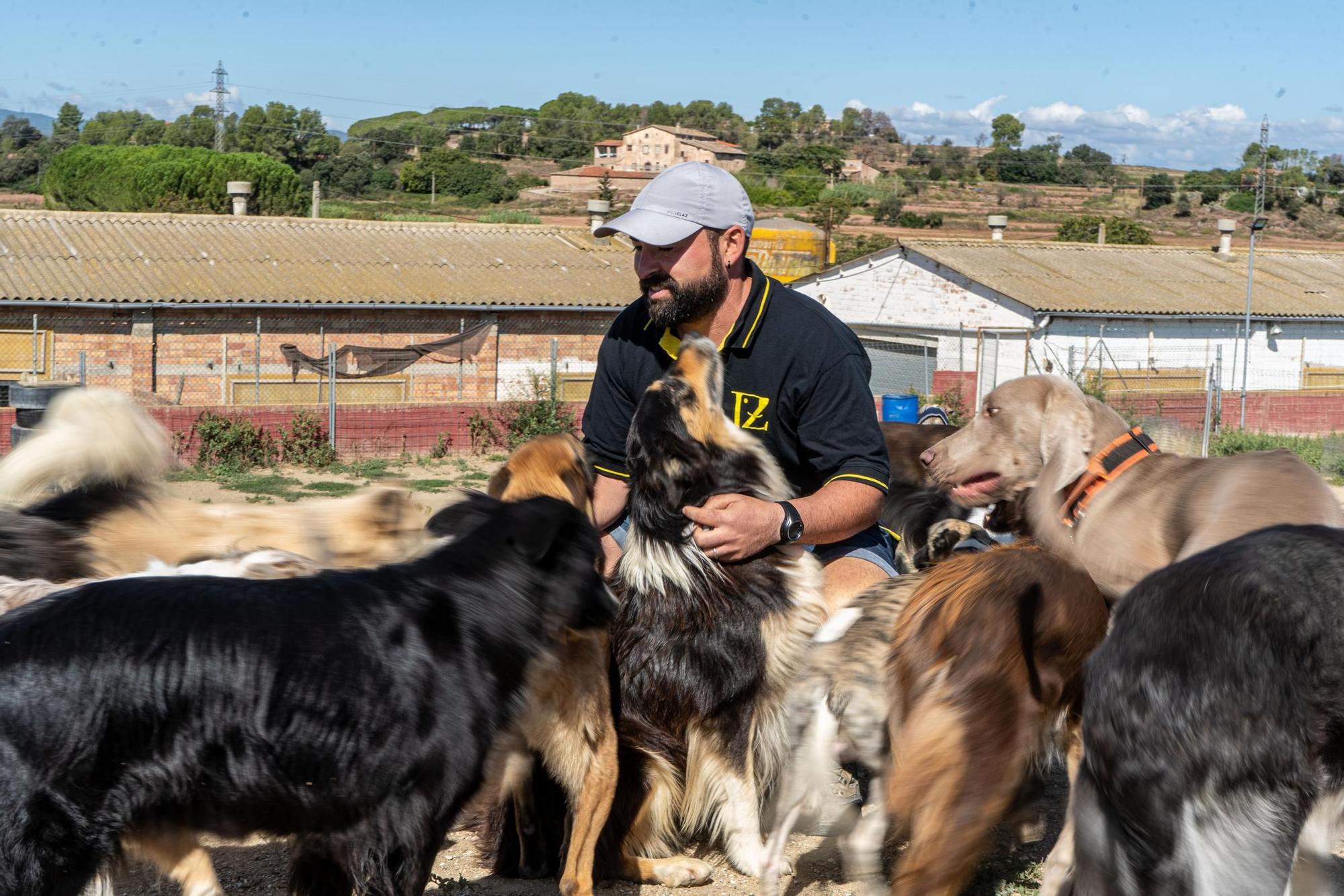 Residències canines: Centre Caní Jonatan Zafra, a Sant Fruitós de Bages