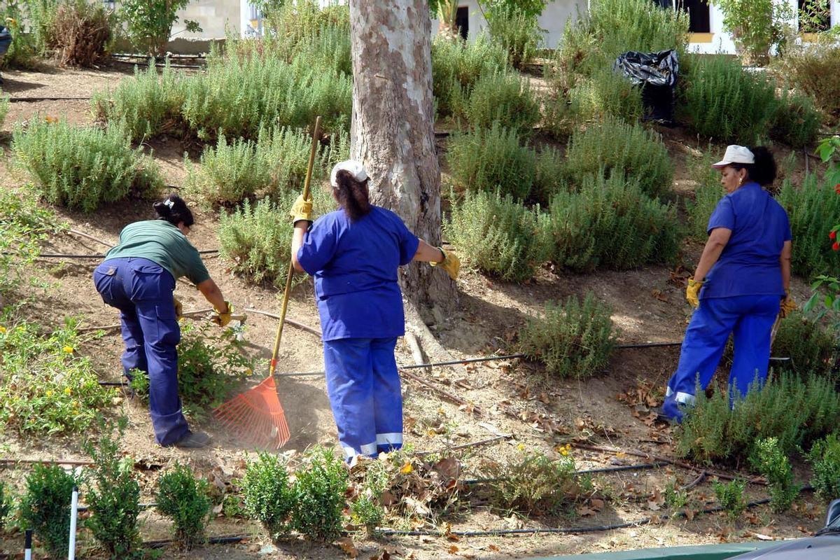 Trabajadoras realizan labores municipales de jardinería.