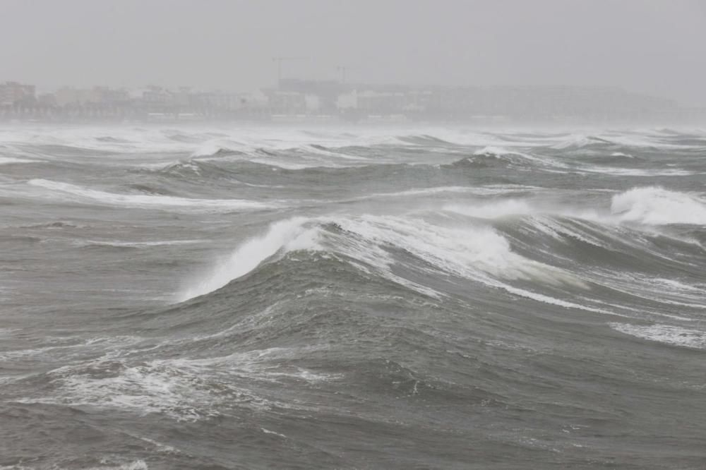 Efectos del temporal en València