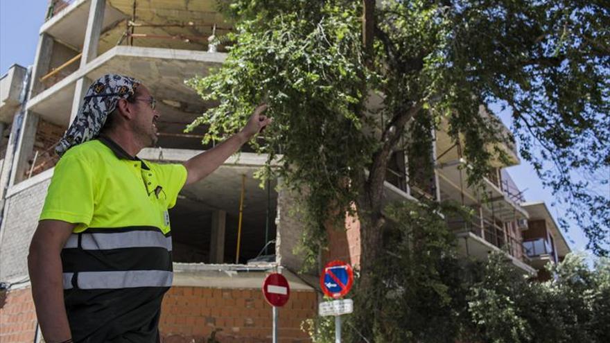 Zaragoza suma en un día cinco incidentes más con el arbolado