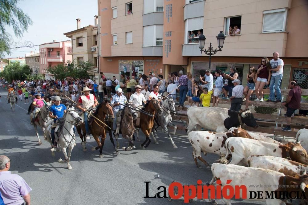 Séptimo encierro en Moratalla