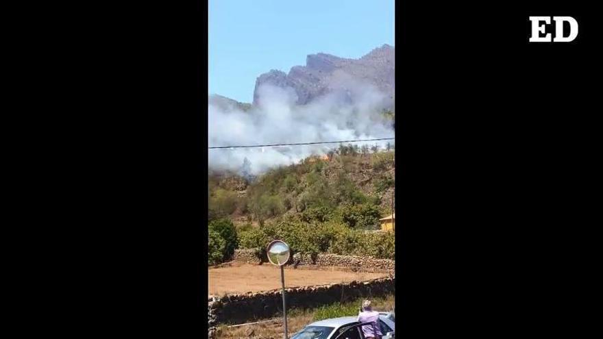 Controlado el conato de incendio en La Palma