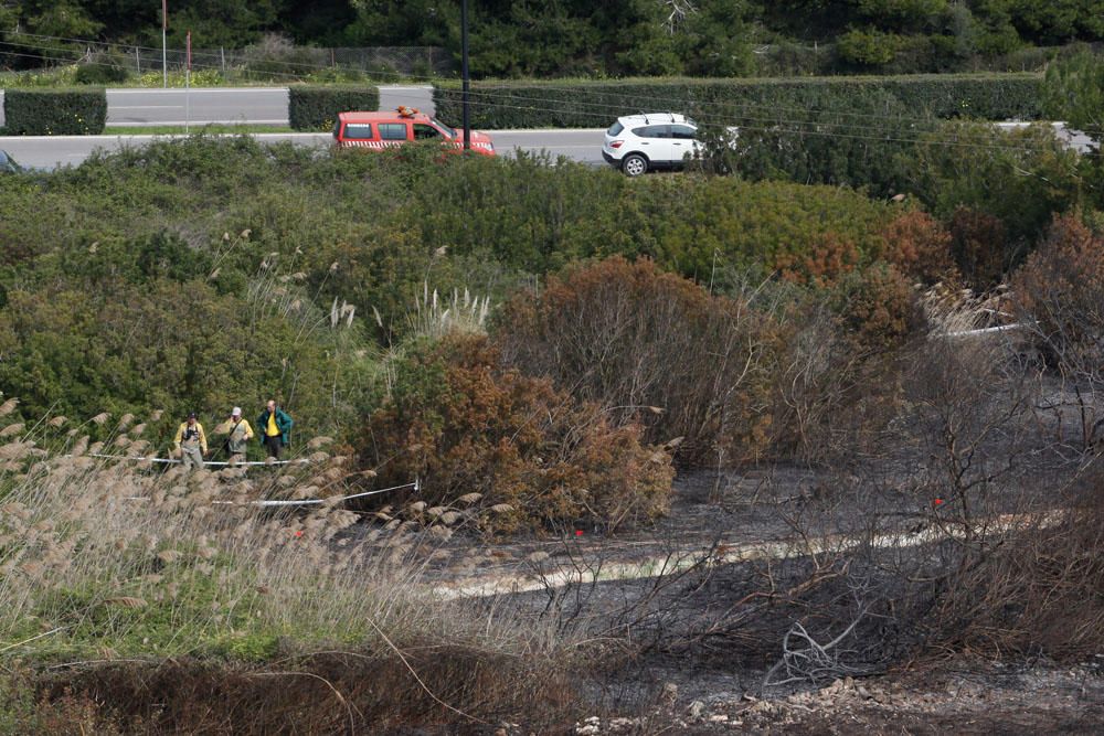 El día después del incendio en ses Feixes