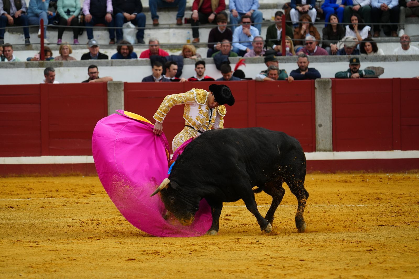 El festejo taurino de Pozoblanco, en imágenes