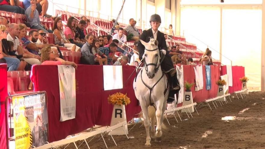 Los caballos toman el huerto de La Rueda