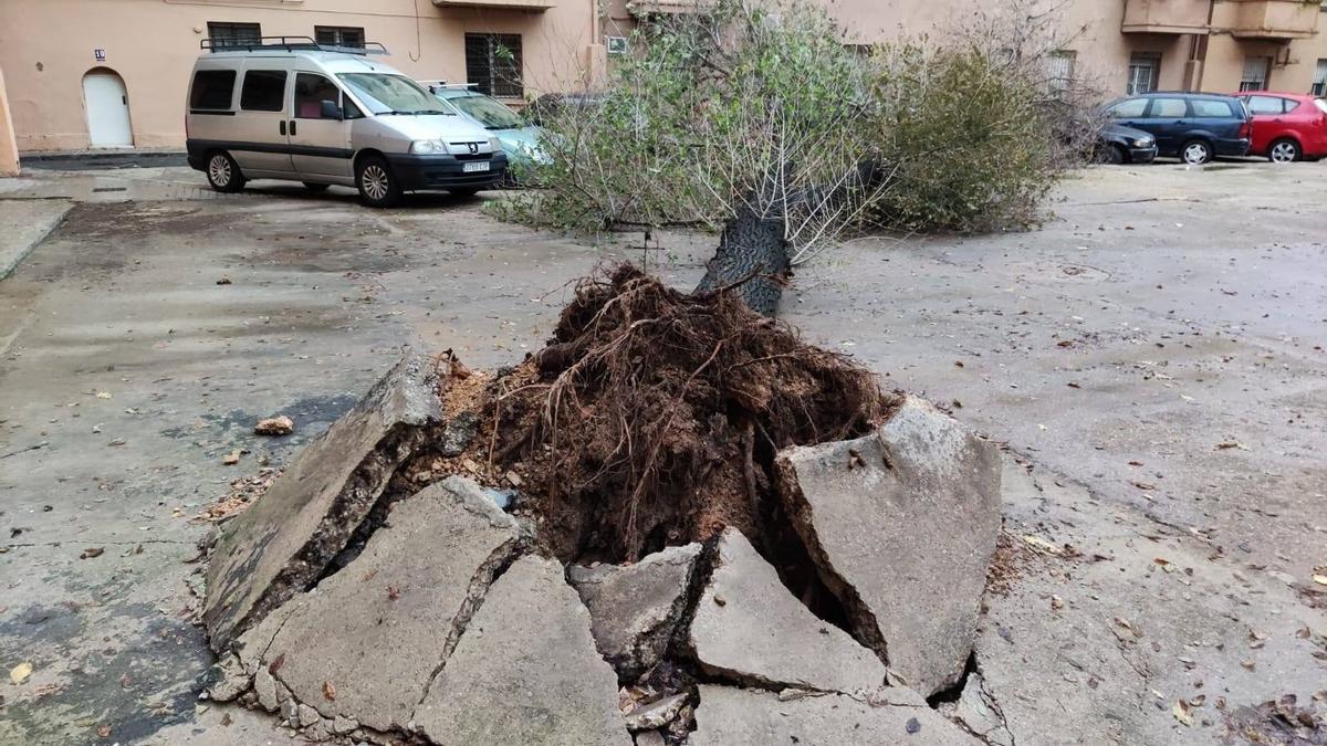 Así ha quedado la plaza al levantarse el asfalto