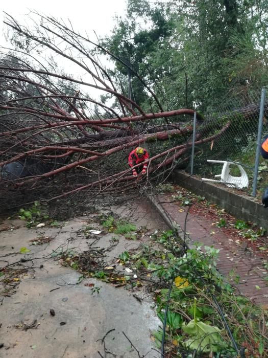 Destrosses a Riells i Viabrea per un tornado