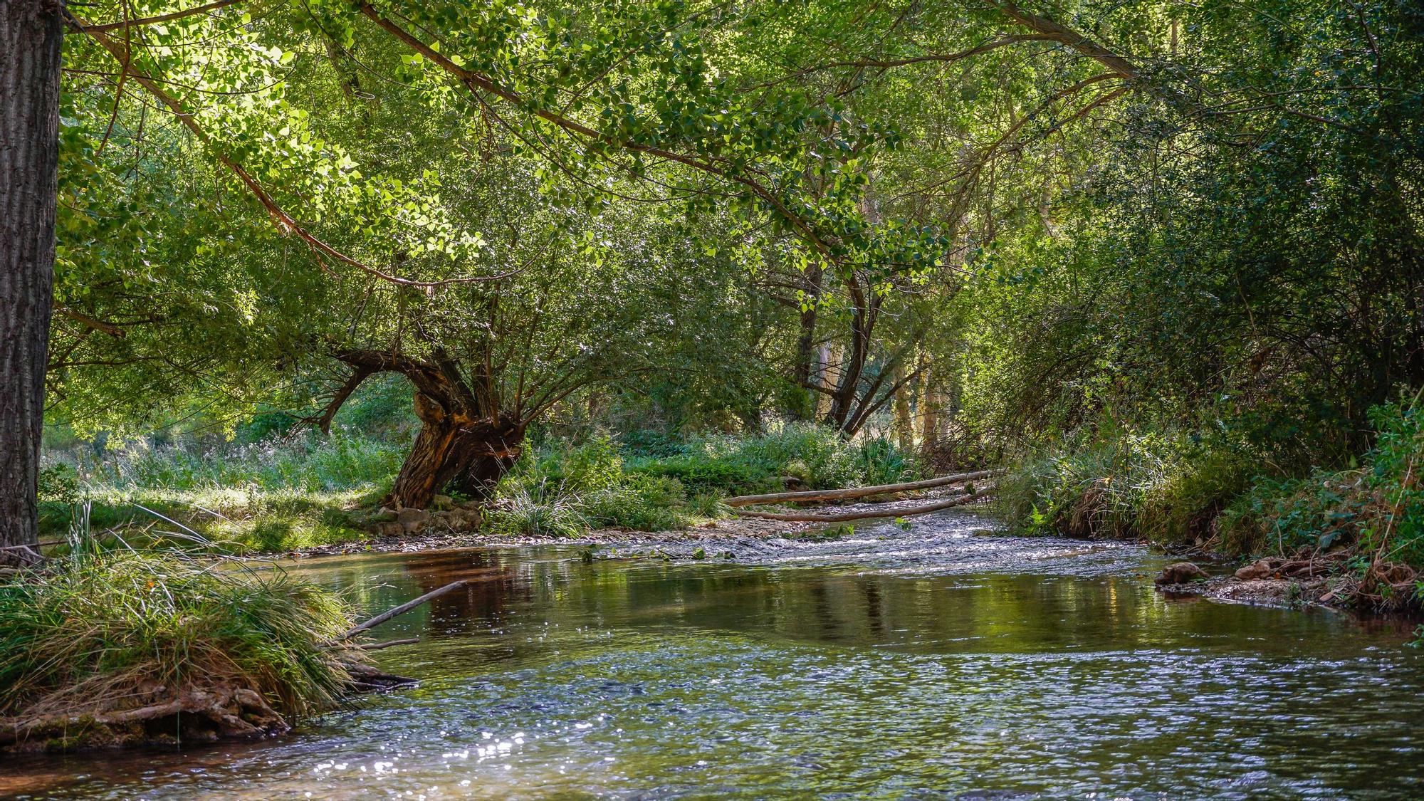 Por el río de Albarracín