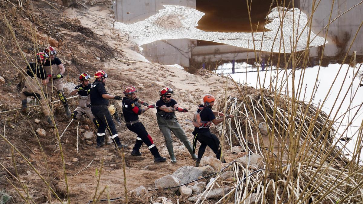 Efectivos de la UME trabajan quitando árboles.