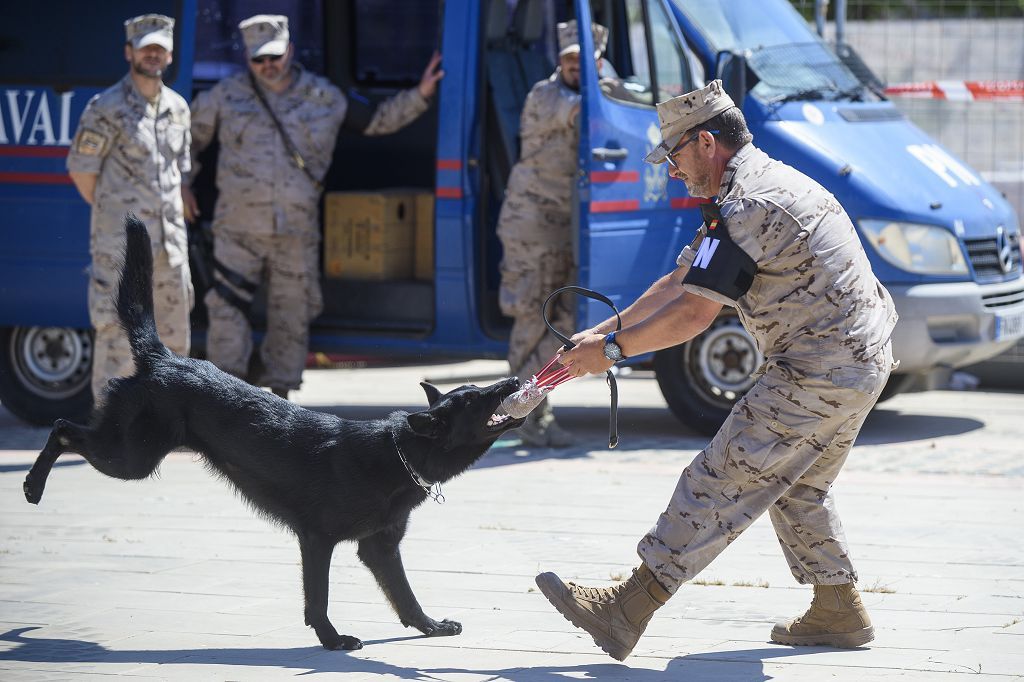 Día de las Fuerzas Armadas 2022 en Cartagena