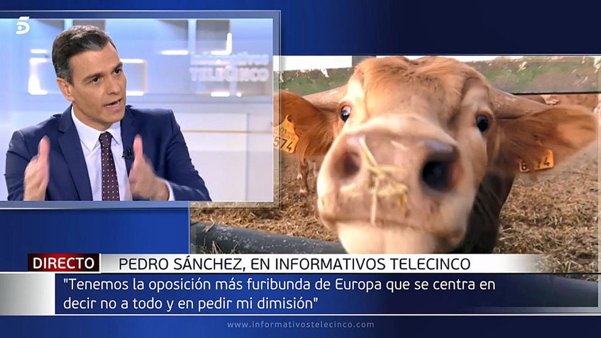 El presidente Sánchez en el plató de Informativos Tele 5.