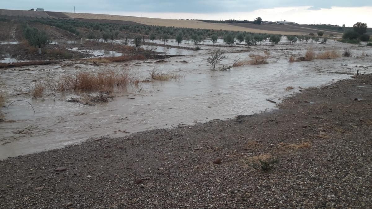 Llegan las primeras lluvias a Córdoba tras 123 días sin llover.