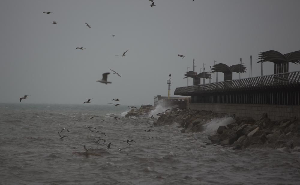 Imágenes del temporal de lluvia y viento en la playa del Postiguet en Alicante.