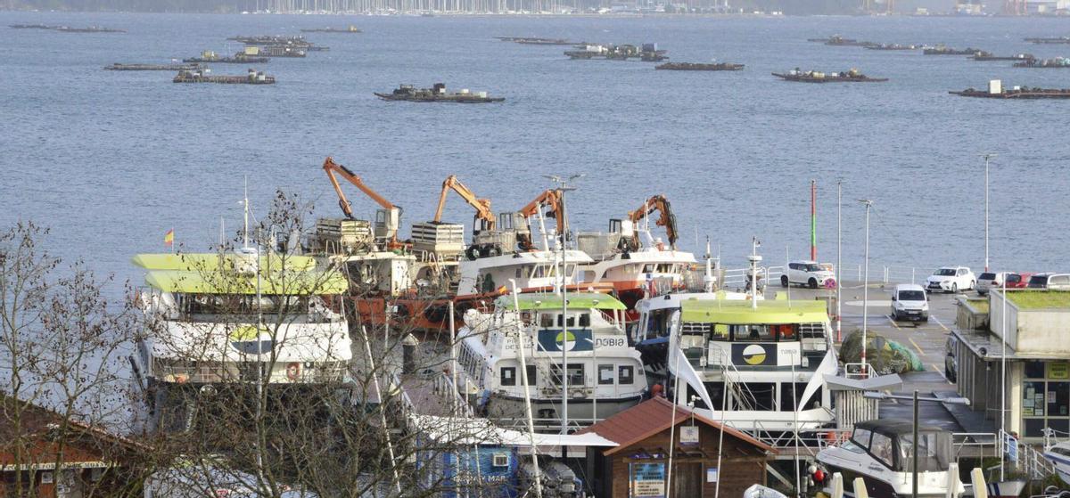 Barcos del transporte de ría entre Moaña y Vigo, amarrados en el muelle. | Gonzalo Núñez
