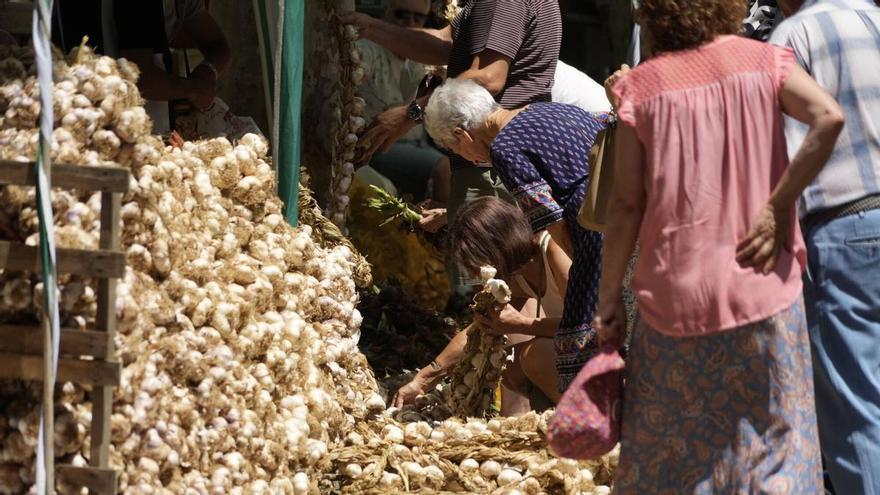 Feria del Ajo 2026 en Zamora: Los mismos productores pero un tercio más de ajos en las Tres Cruces