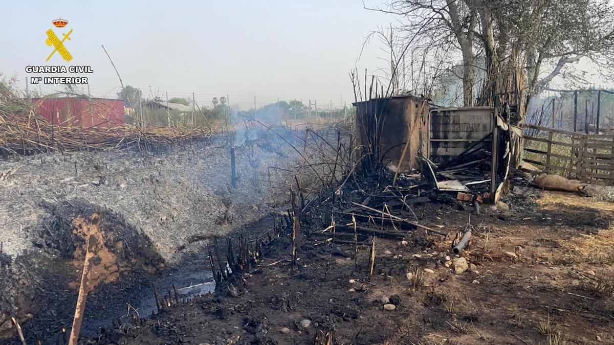 Estado en el que quedó la masa forestal arrasada por el fuego