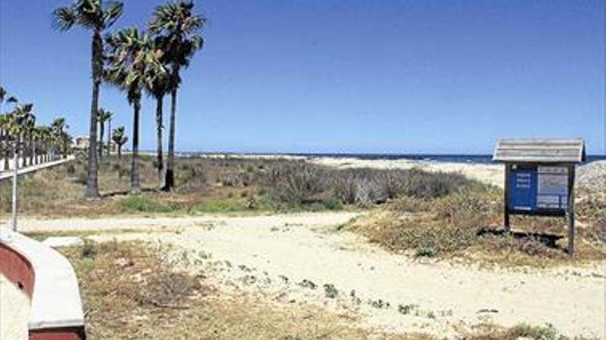 Burriana conservará la flora natural en la playa de l’Arenal