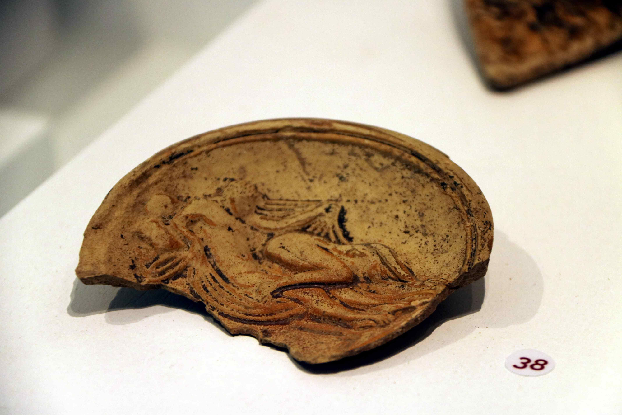 Les fotos del museu sobre el llegat romà de Blanes