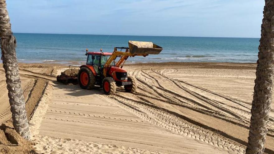 Limpieza de playas en Guardamar, un servicio que está municipalizado/