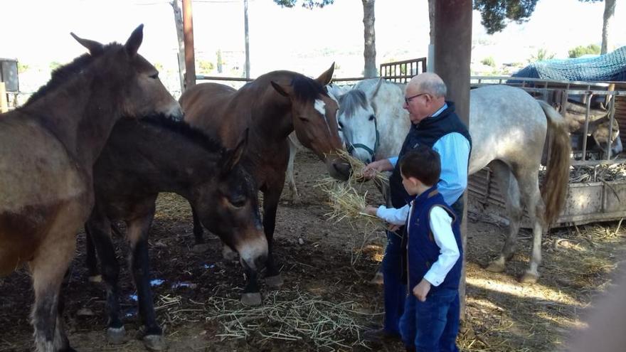 Antonio Ruiz Rojo, junto a su nieto Roque Ruiz, dándole de comer a los animales que tiene en la pedanía lorquina de La Hoya.