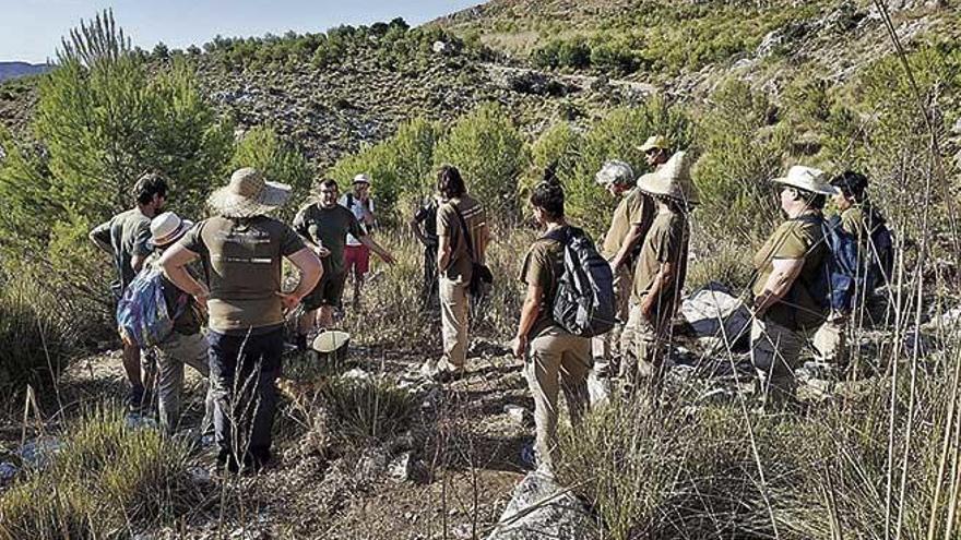 El Parc Natural de Llevant recolecta semillas de plantas endémicas