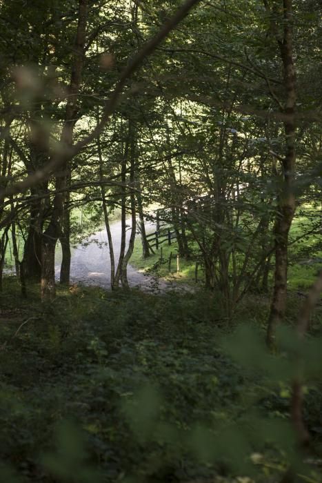 Rutas por Asturias: foces del río Pendón