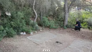 Los Agentes Rurales intensifican la vigilancia contra cazadores furtivos de fringílidos