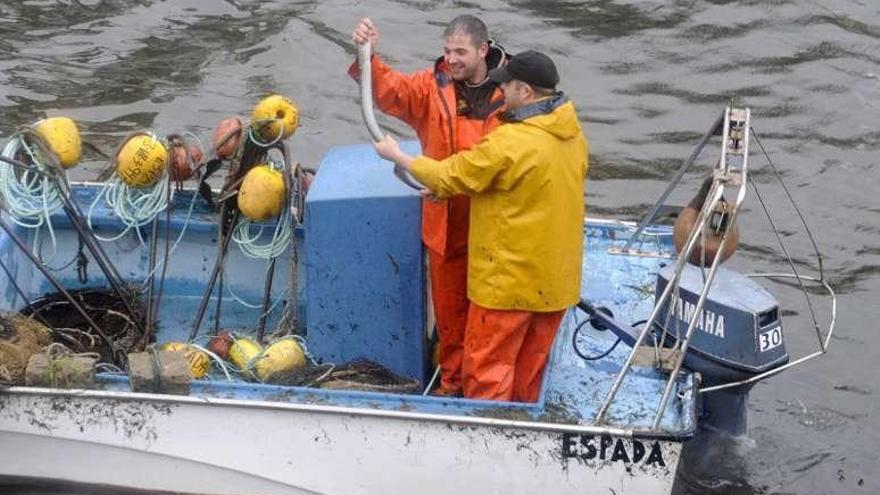 La primera lamprea de la temporada pesa 1,2 kilos y se vende a 150 euros