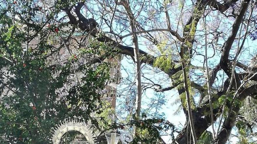 La Divina Pastora en procesión por Capuchinos.