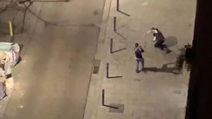 pelea vid  26 113156