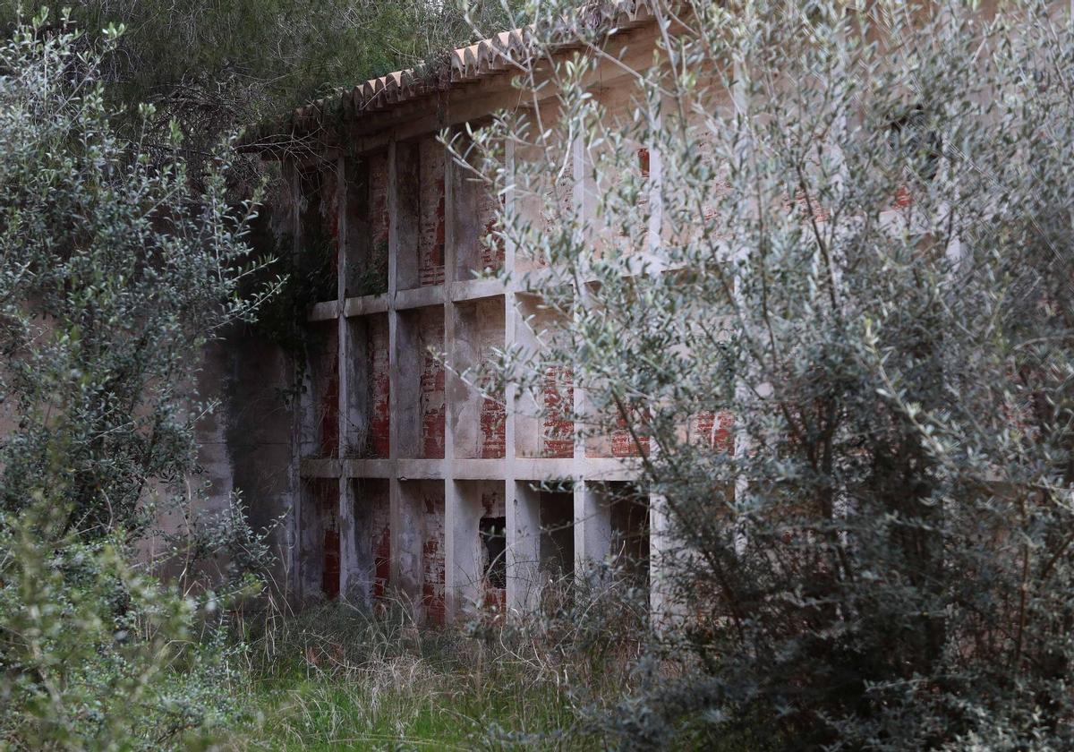 Cementerio de Moncada abandonado