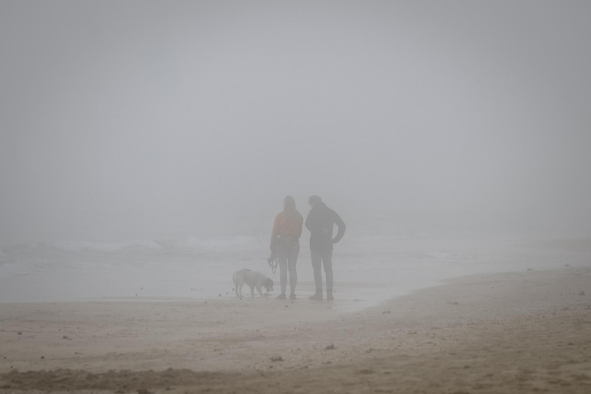 Niebla en Mallorca en pleno invierno