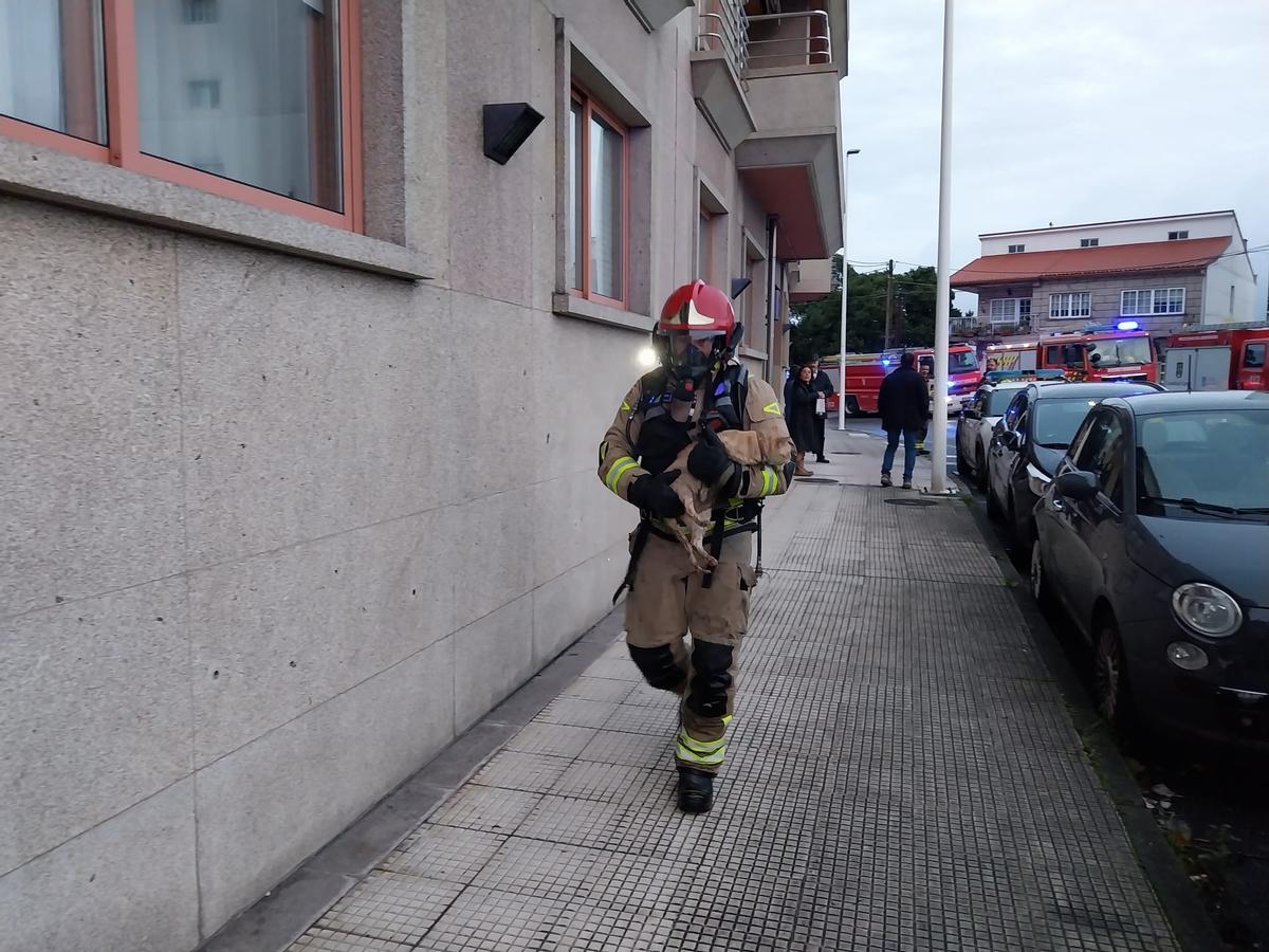 Uno de los bomberos sale del edificio en el que se registró el incendio tras rescatar a un gato que se encontraba asustado.