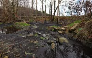 La Misión Biológica trabajará en la prevención de incendios hasta 2029