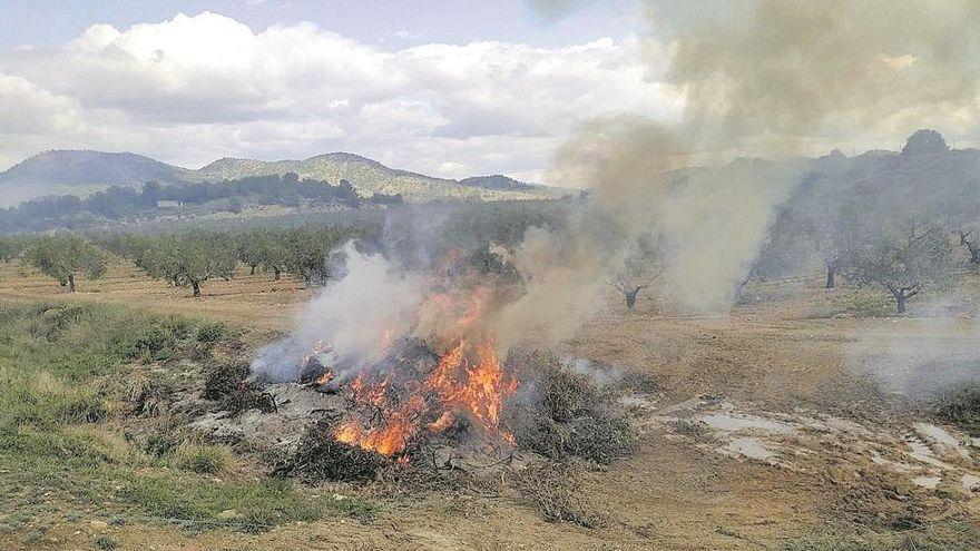 El TSJ anula la orden de la Comunidad que regula las quemas agrícolas en Murcia